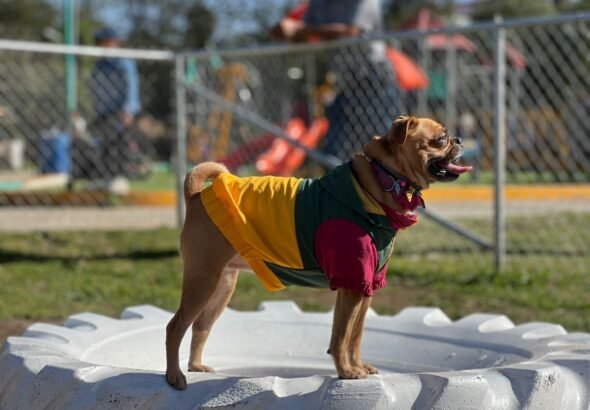 WhatsApp Image 2026-02-03 at 08.38.40 (2)