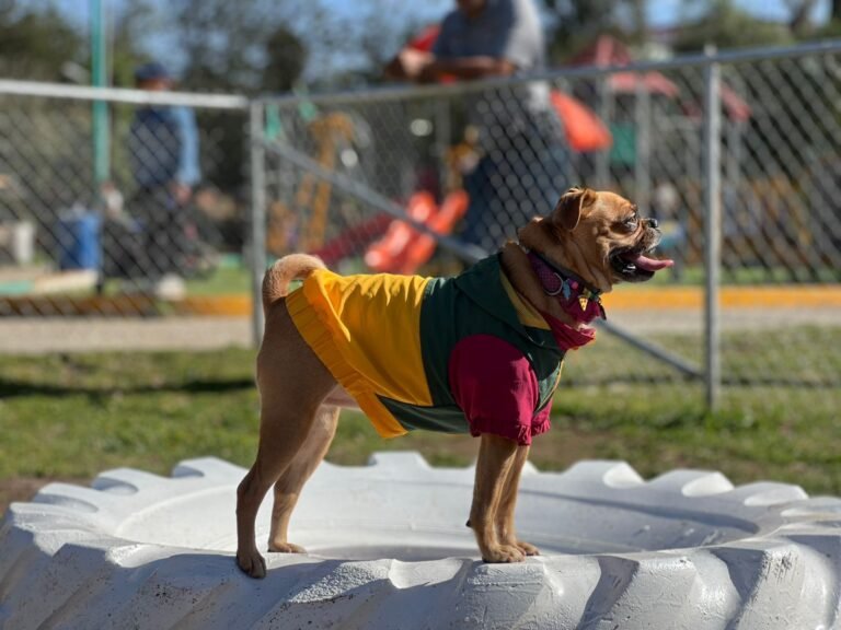 WhatsApp Image 2026-02-03 at 08.38.40 (2)