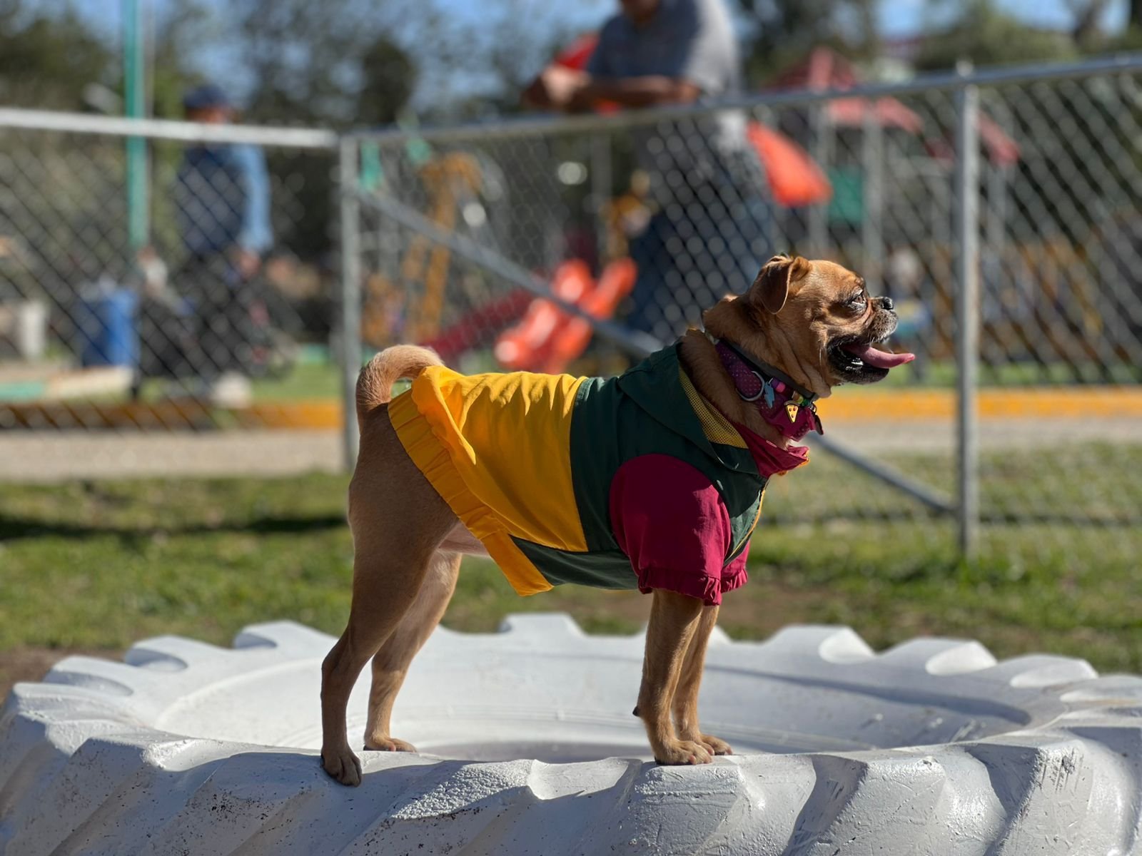 WhatsApp Image 2026-02-03 at 08.38.40 (2)