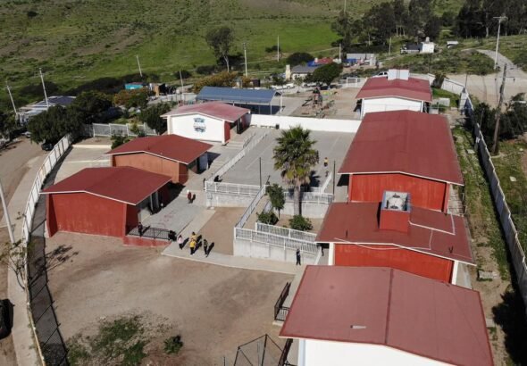 WhatsApp Image 2026-02-03 at 14.10.41