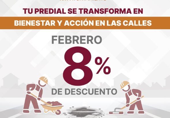 WhatsApp Image 2026-02-04 at 07.35.56