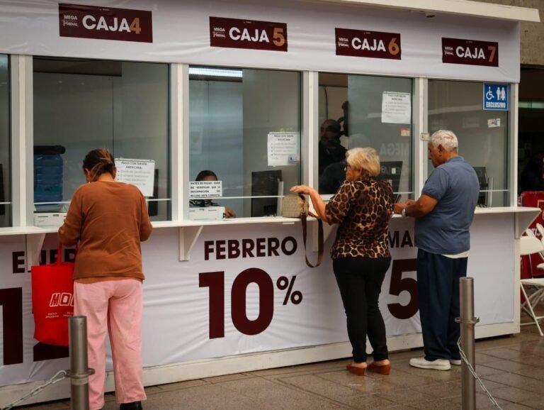 WhatsApp Image 2026-02-04 at 08.09.57