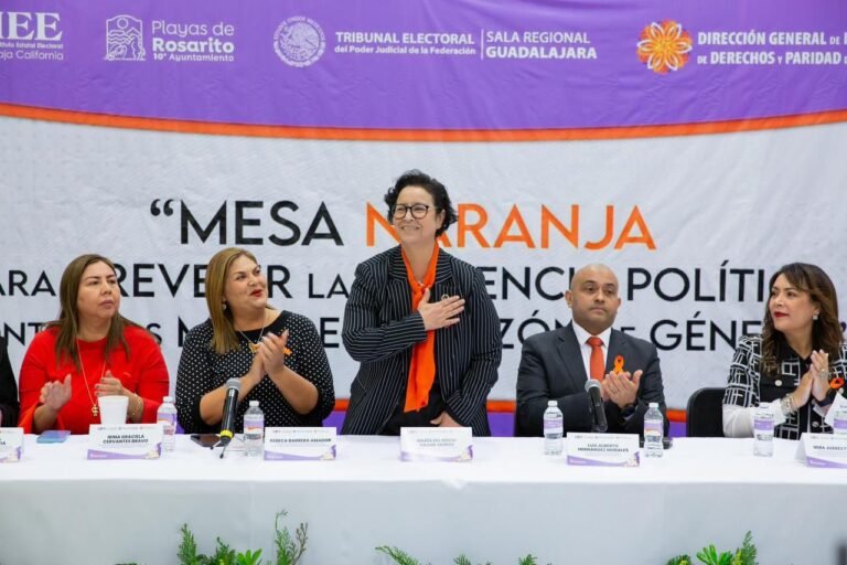 WhatsApp Image 2026-02-04 at 15.20.16 (1)