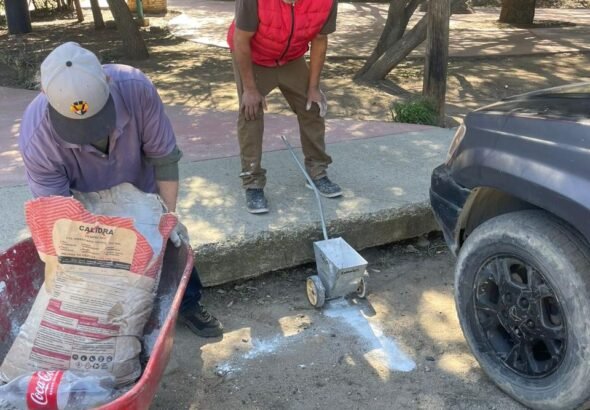 WhatsApp Image 2026-02-06 at 12.10.34 (1)