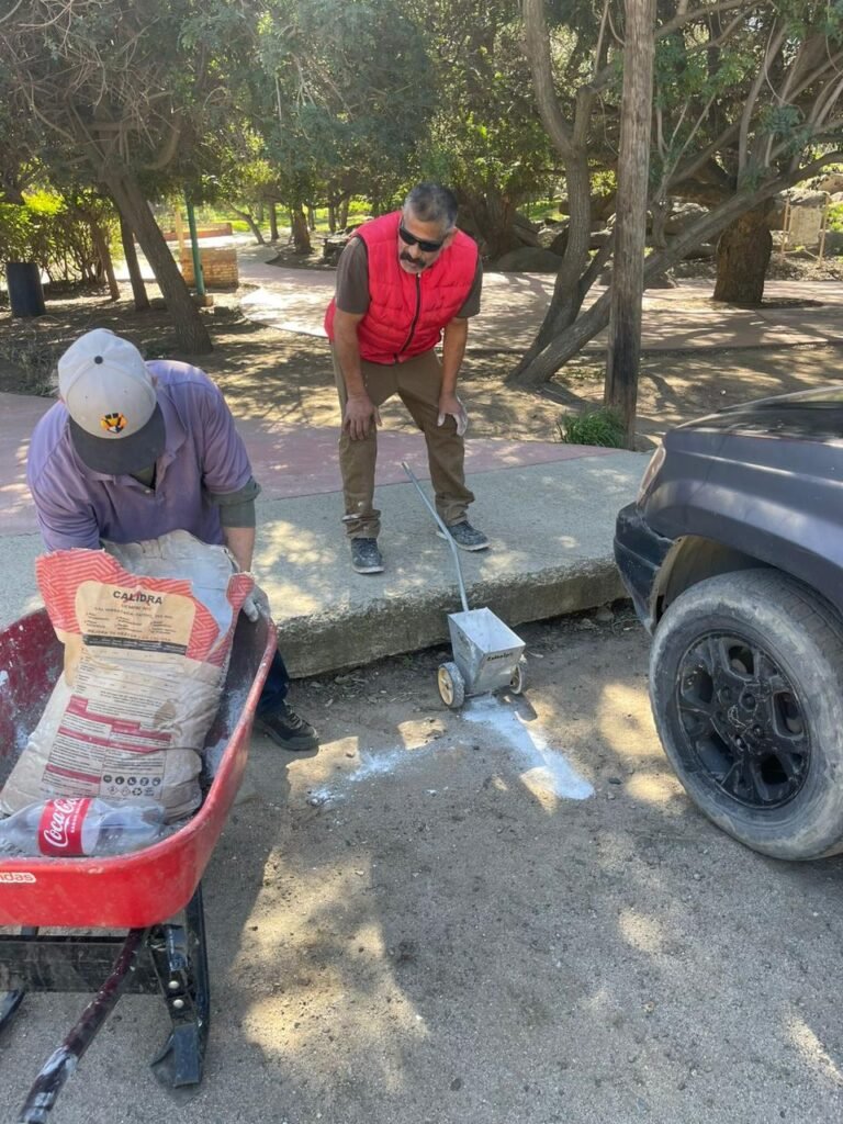 WhatsApp Image 2026-02-06 at 12.10.34 (1)