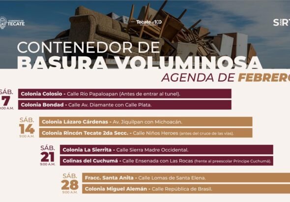 WhatsApp Image 2026-02-06 at 12.10.42