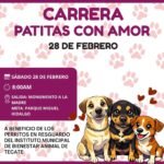 WhatsApp Image 2026-02-07 at 15.12.38