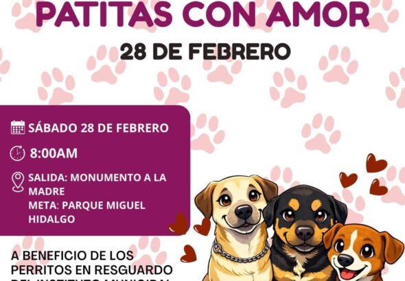 WhatsApp Image 2026-02-07 at 15.12.38