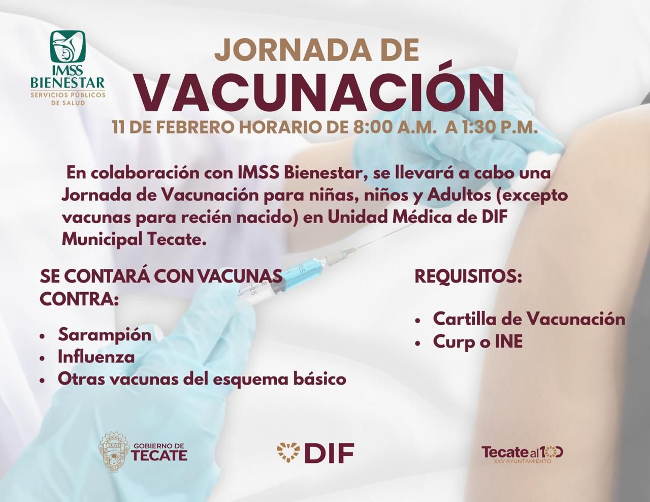 WhatsApp Image 2026-02-09 at 12.44.22