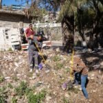 WhatsApp Image 2026-02-09 at 14.55.12