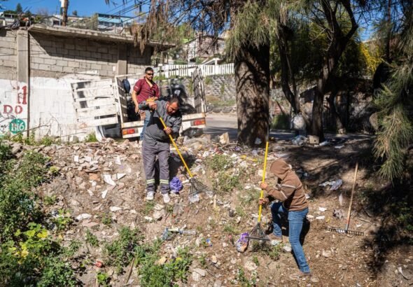 WhatsApp Image 2026-02-09 at 14.55.12