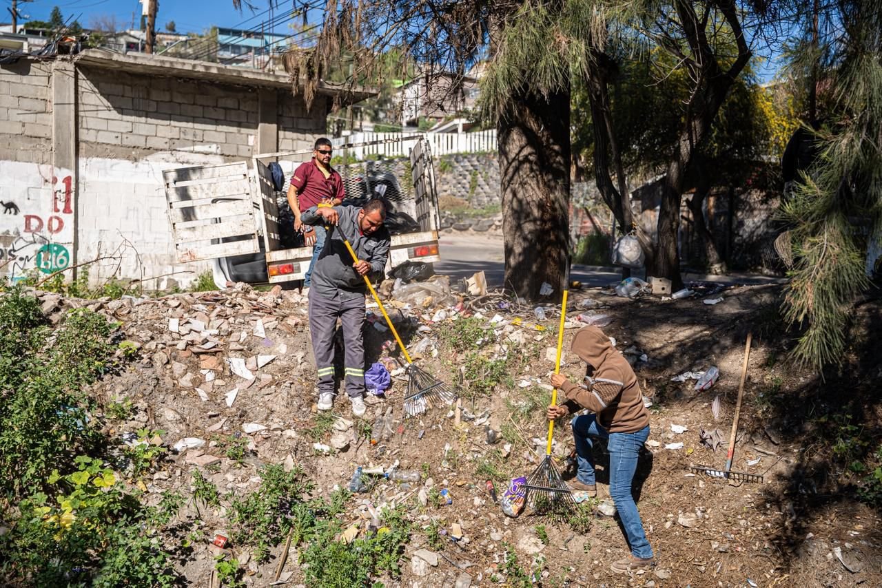 WhatsApp Image 2026-02-09 at 14.55.12