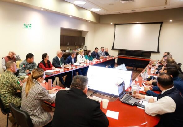 WhatsApp Image 2026-02-09 at 15.24.52