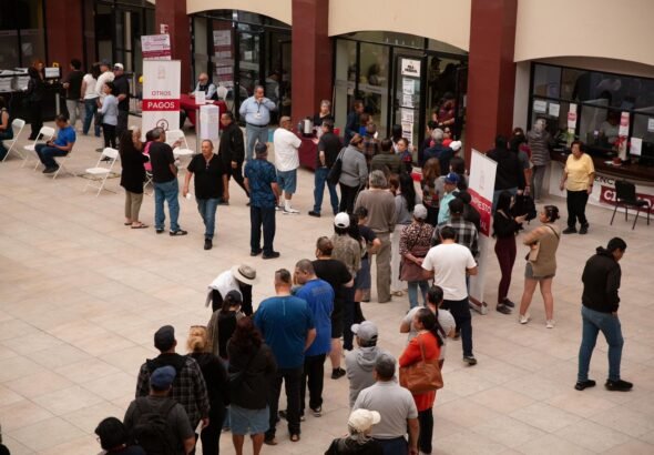 WhatsApp Image 2026-02-11 at 15.38.13