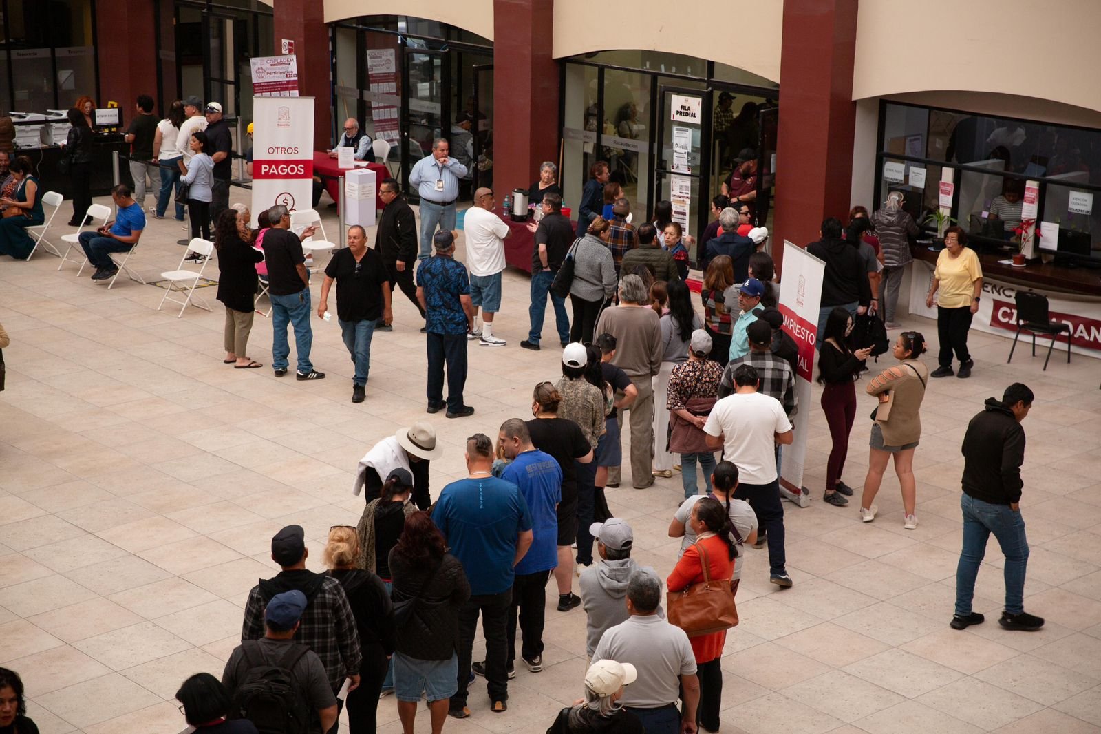 WhatsApp Image 2026-02-11 at 15.38.13