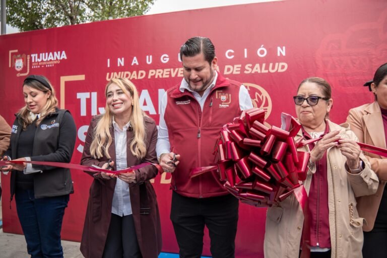 WhatsApp Image 2026-02-11 at 16.50.52