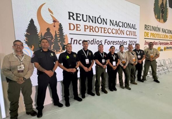 WhatsApp Image 2026-02-11 at 18.35.21