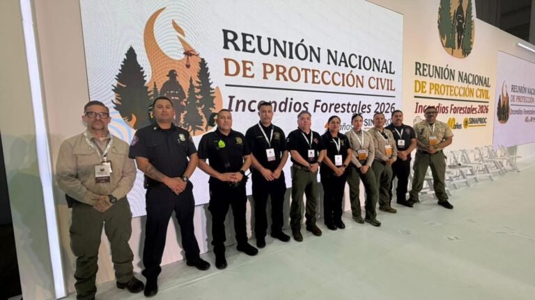 WhatsApp Image 2026-02-11 at 18.35.21