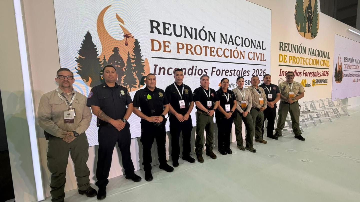 WhatsApp Image 2026-02-11 at 18.35.21