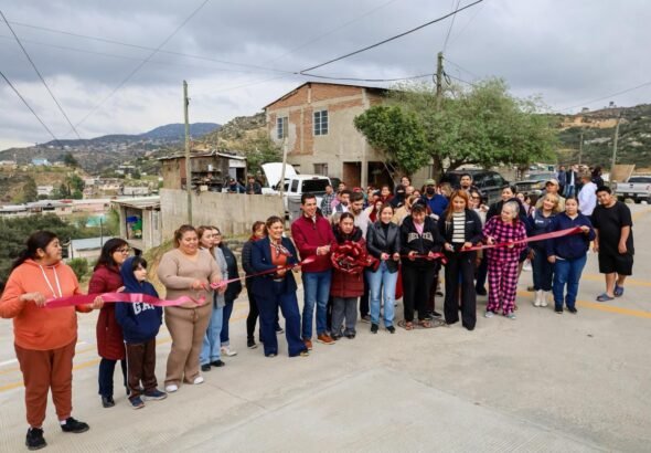 WhatsApp Image 2026-02-11 at 18.42.12