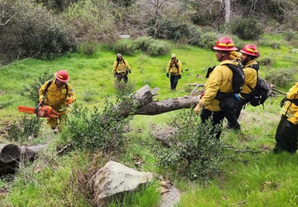 WhatsApp Image 2026-02-12 at 10.13.49