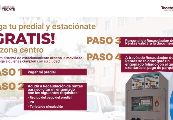 WhatsApp Image 2026-02-13 at 08.51.28 (1)