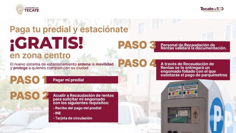 WhatsApp Image 2026-02-13 at 08.51.28 (1)