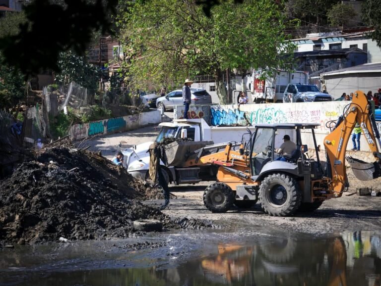 WhatsApp Image 2026-02-13 at 16.56.12