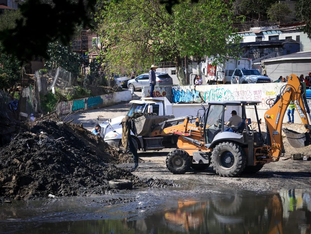 WhatsApp Image 2026-02-13 at 16.56.12