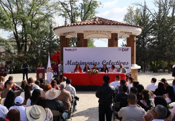 WhatsApp Image 2026-02-14 at 07.37.22 (2)