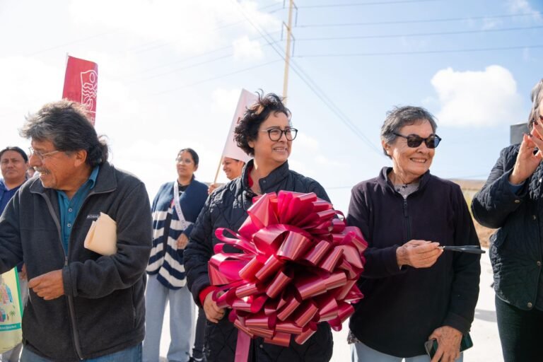 WhatsApp Image 2026-02-14 at 15.39.44