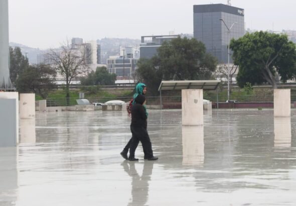 WhatsApp Image 2026-02-15 at 13.26.17