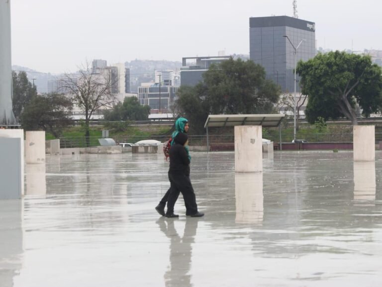 WhatsApp Image 2026-02-15 at 13.26.17