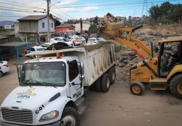 WhatsApp Image 2026-02-16 at 17.25.20