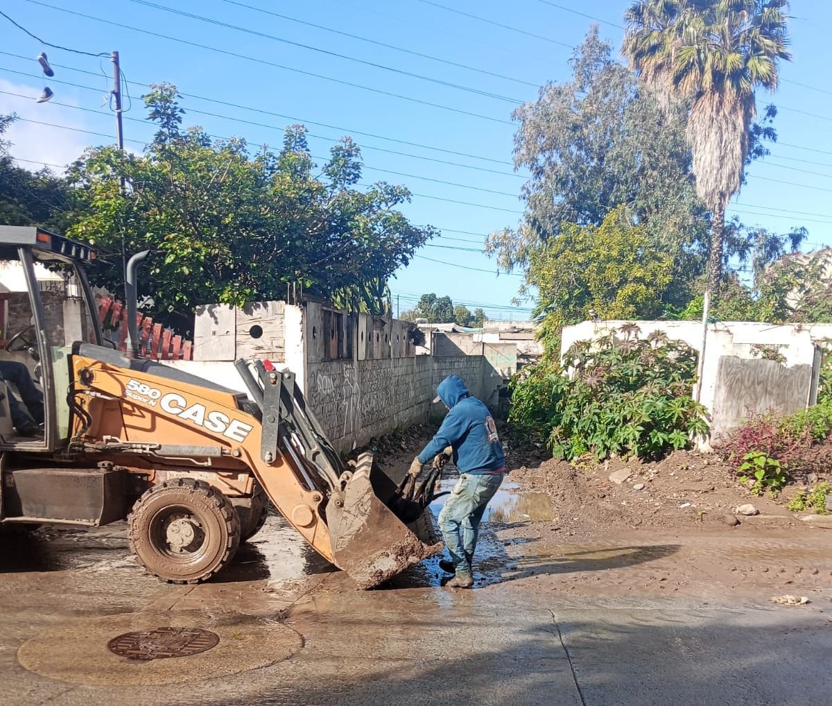 WhatsApp Image 2026-02-19 at 09.38.24 (2)