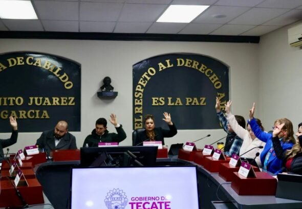 WhatsApp Image 2026-02-19 at 10.58.10