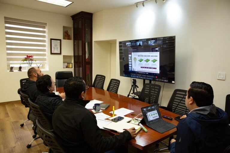 WhatsApp Image 2026-02-19 at 11.05.25