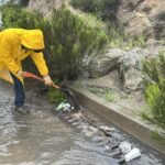 WhatsApp Image 2026-02-19 at 12.37.45 (1)