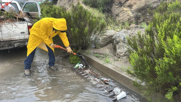 WhatsApp Image 2026-02-19 at 12.37.45 (1)