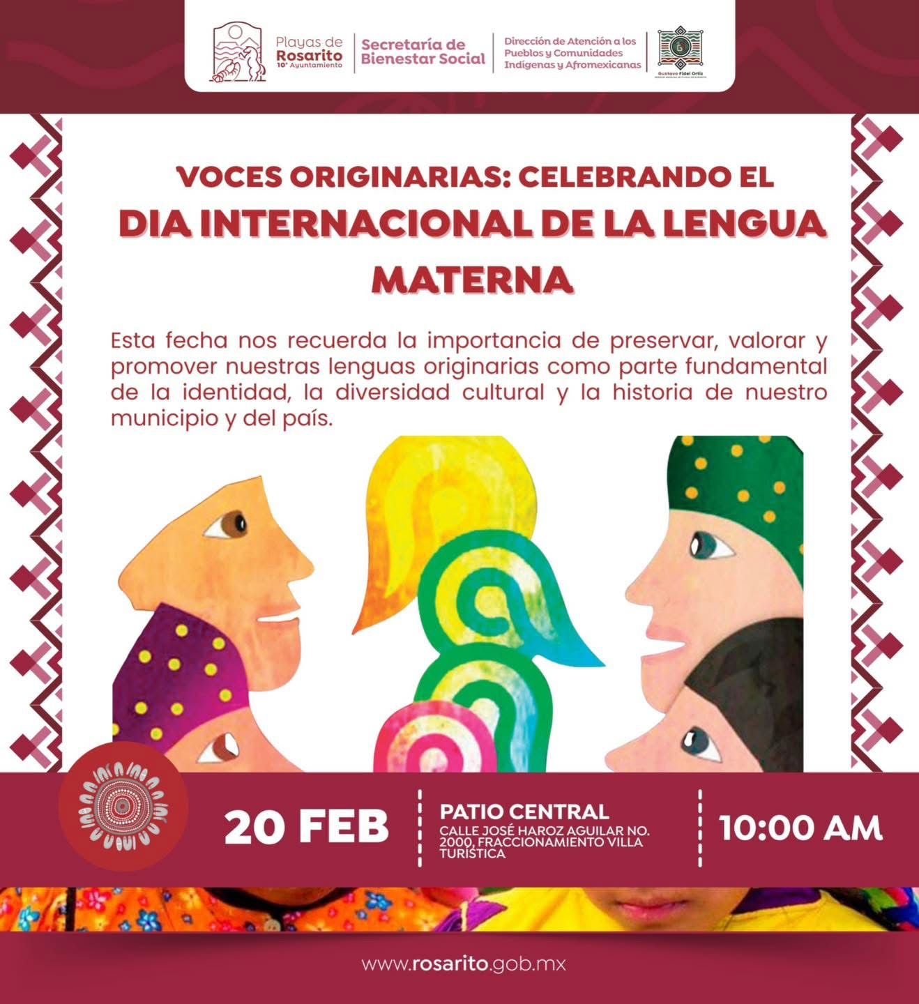 WhatsApp Image 2026-02-19 at 14.19.59