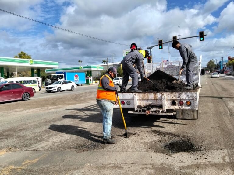 WhatsApp Image 2026-02-20 at 12.20.17