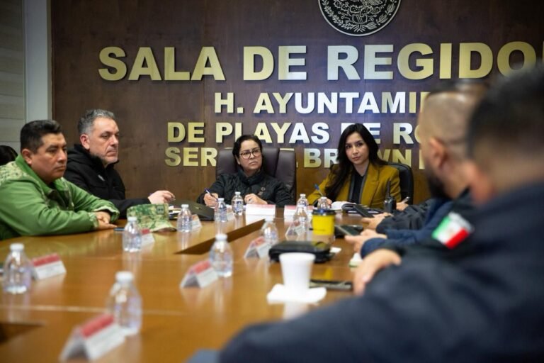 WhatsApp Image 2026-02-20 at 13.34.04