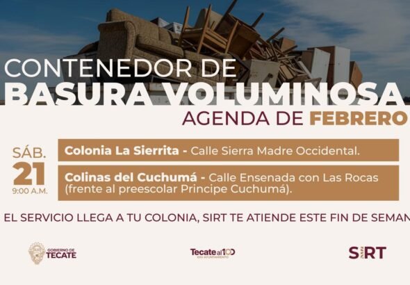 WhatsApp Image 2026-02-20 at 14.20.58