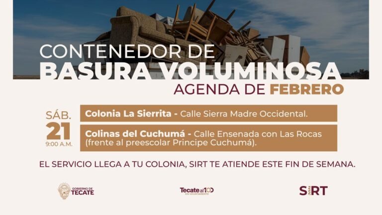 WhatsApp Image 2026-02-20 at 14.20.58