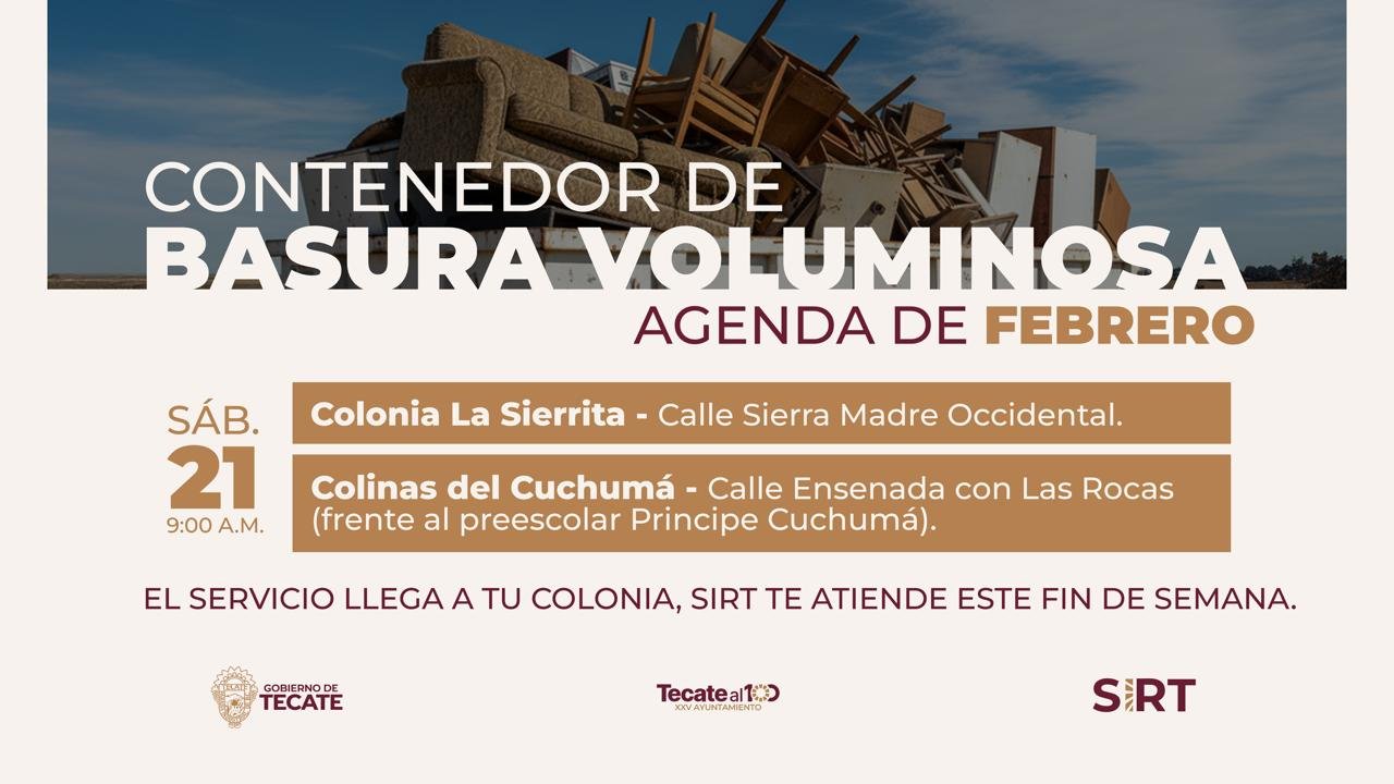 WhatsApp Image 2026-02-20 at 14.20.58