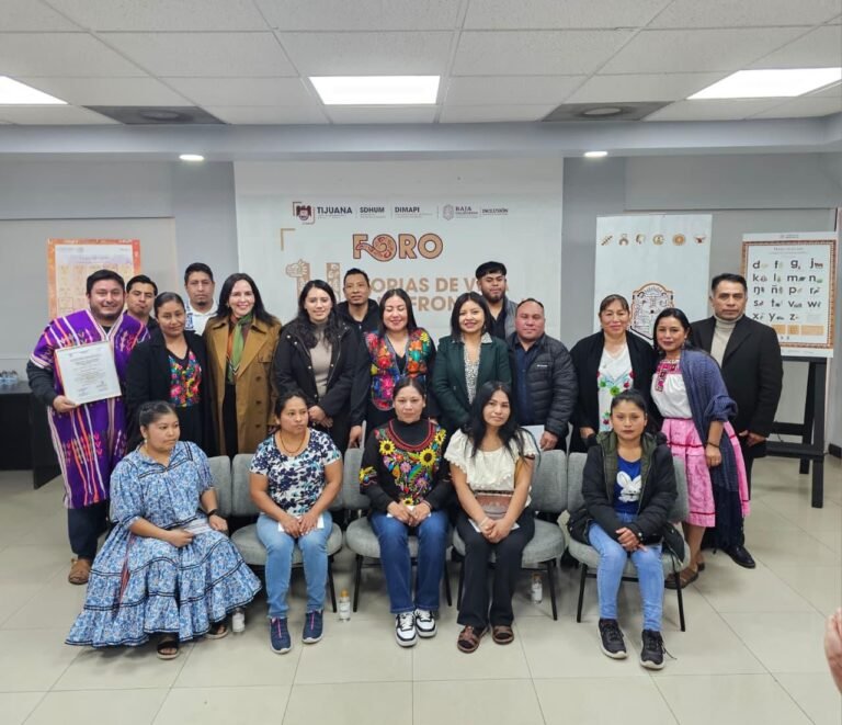 WhatsApp Image 2026-02-20 at 15.33.32