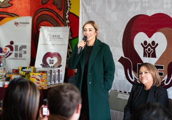 WhatsApp Image 2026-02-20 at 17.06.31