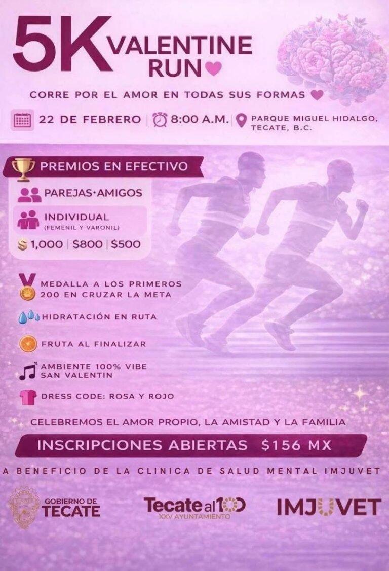 WhatsApp Image 2026-02-21 at 16.05.24