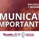 WhatsApp Image 2026-02-22 at 12.04.56