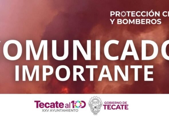 WhatsApp Image 2026-02-22 at 12.04.56